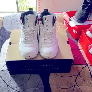 Air Jordan 12 retro twist